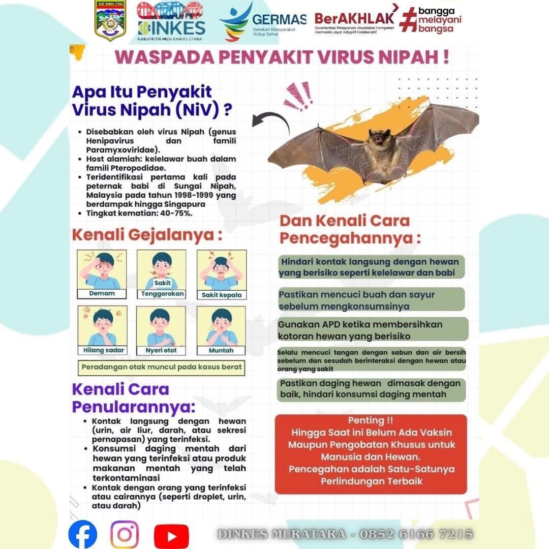 Waspada Penyakit Virus Nipah: Kenali Gejala dan Cara Pencegahannya